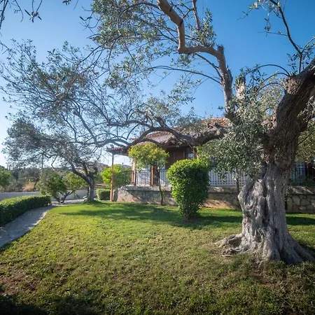 Garden וילה פורטו הלי