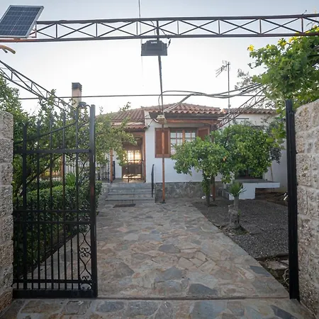 Garden *